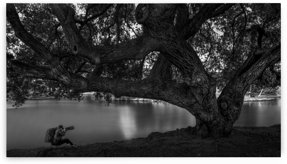 DJ 08580 by Darren Jackson