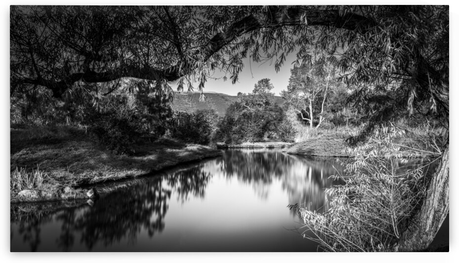 DJ 08131 by Darren Jackson