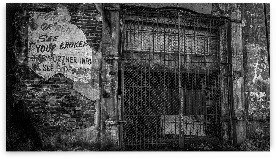 PXL 20230105 141442058 lrg scale 2 00x by Darren Jackson