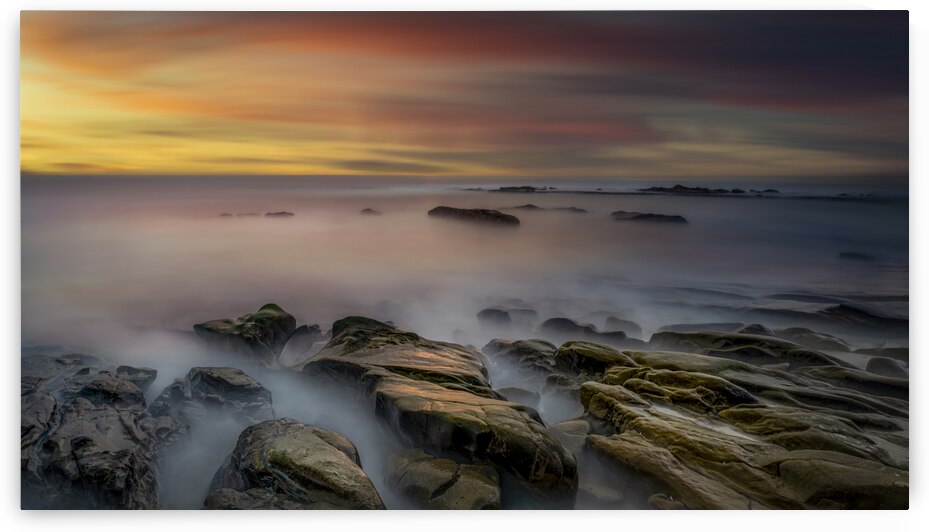 DJ 08649 Print by Darren Jackson