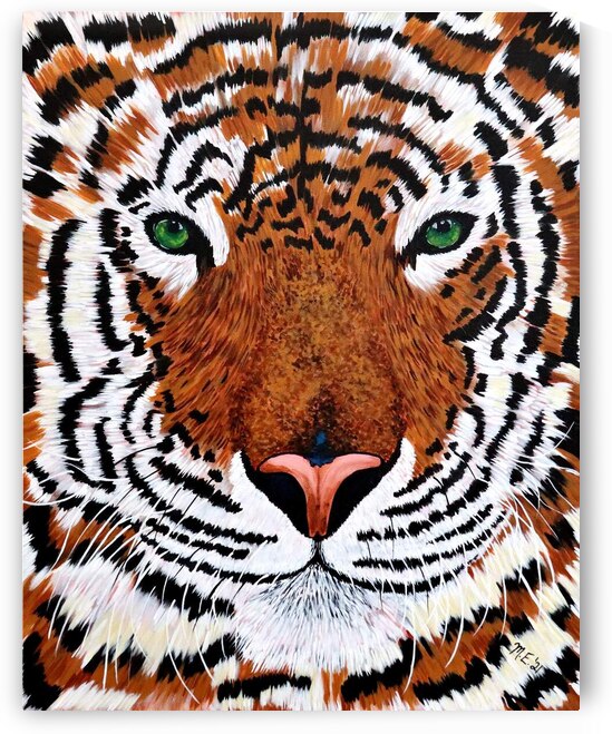 Bengal Beauty by Megan Evans