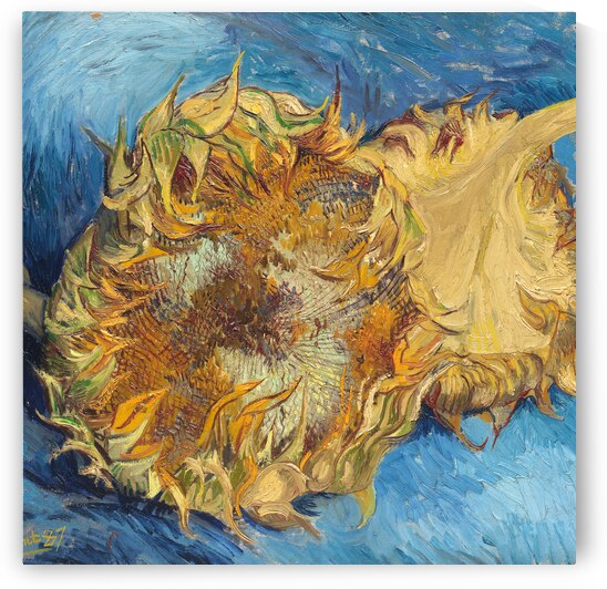  Sunflowers 1887 by Vincent Van Gogh by artvi