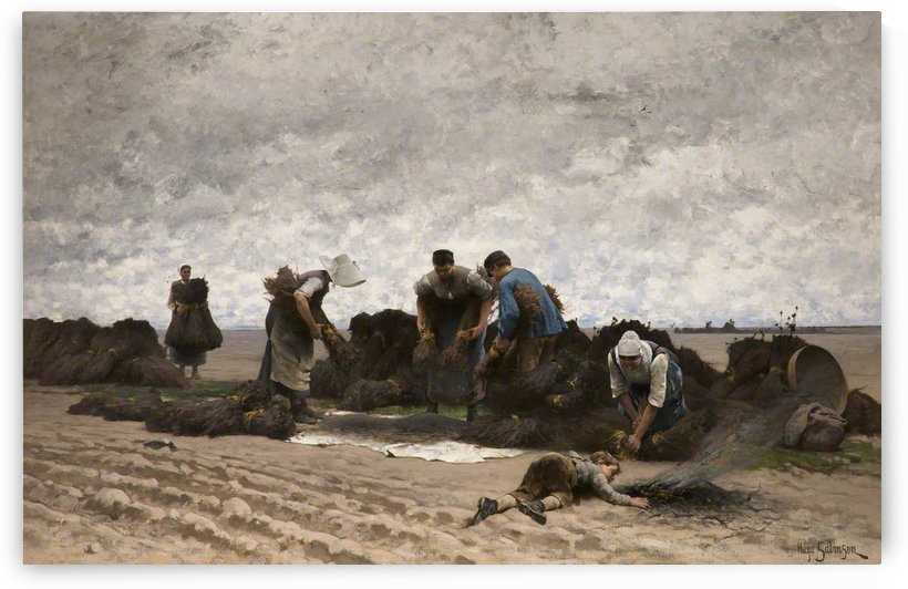 Poppy seed gatherers of Northern France by Hugo Salmson