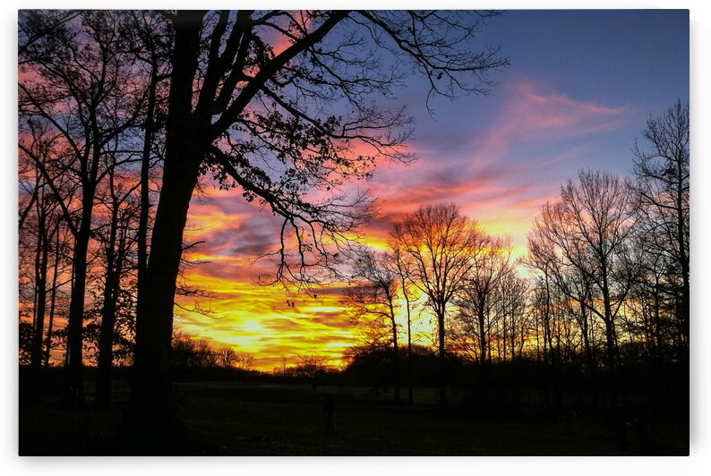 39 IMG 0251 copy by Tyler Byun