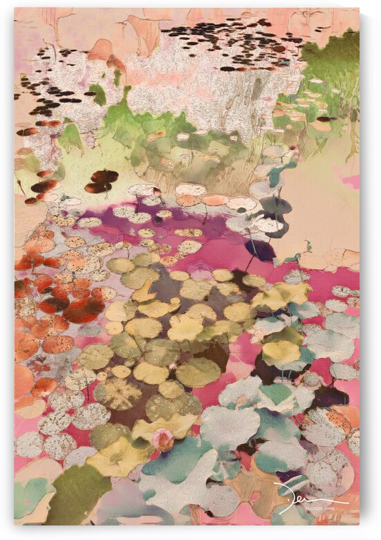 Nenuphars by Jean-Louis Desrosiers