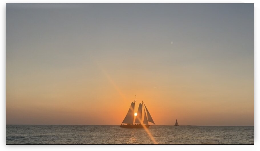 41788307 E96B 40D9 BDE8 7D2EAB4305DA by Squil