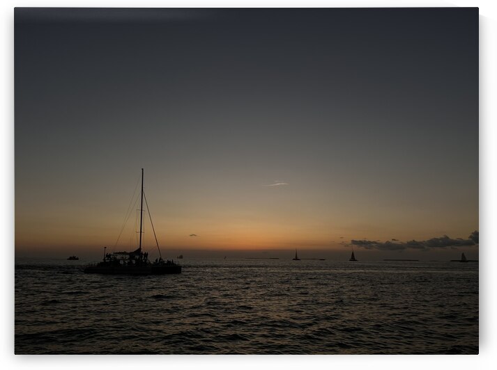 F50462E1 7981 49E7 803B 391767E458FE by Squil