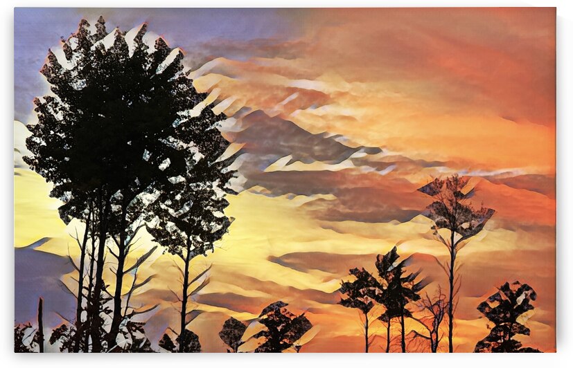 St Croix Serengeti by Lisa Drew