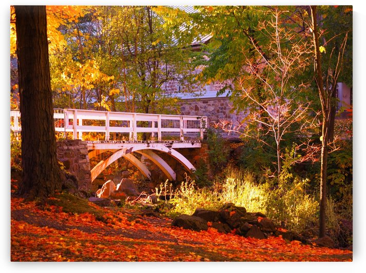 Autumn Colors II by GSPhoto