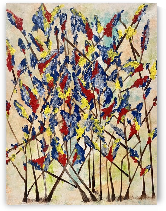 Colorful Heart  by Bri Bass