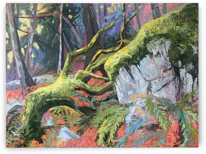 Forest Elders  by Holly Friesen
