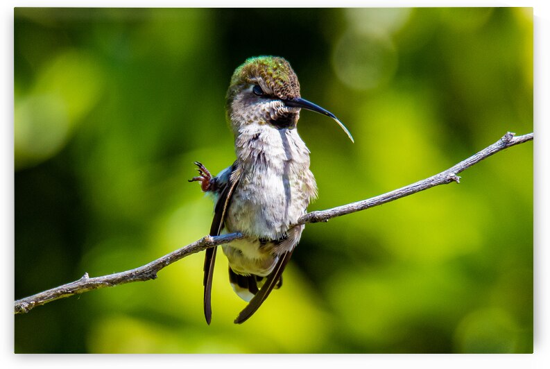 20200410 810 7068 by Serv Goyal