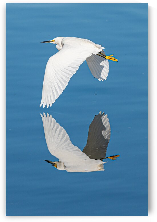 20200320 810 5178 by Serv Goyal