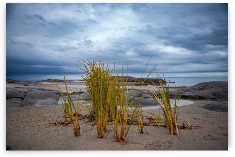 23082020 tirage isadora photo voyage côte nord. by Isadora Photo Admin