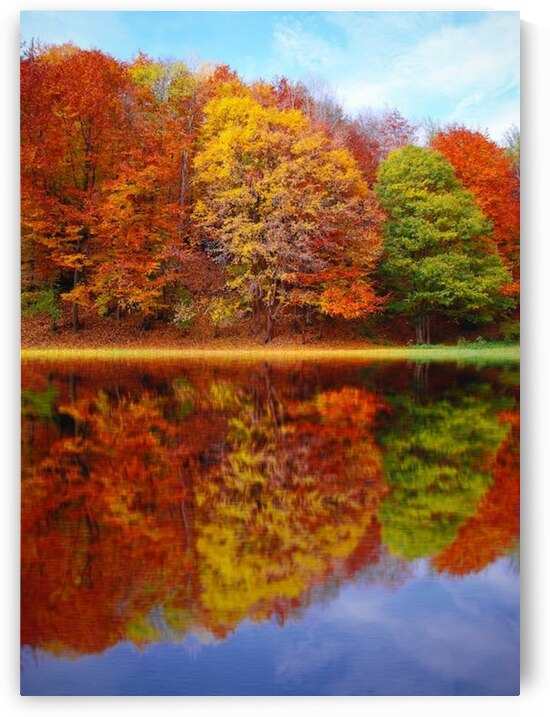 autum lake by Rood art