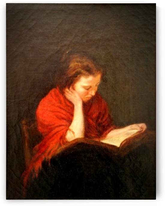 Woman reading by Francois Bonvin
