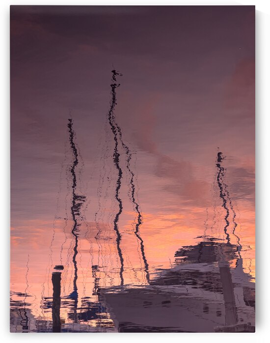 Undulating Frequencies by Matthew Allison