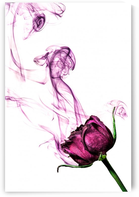 The Smoke by Manadh Photography