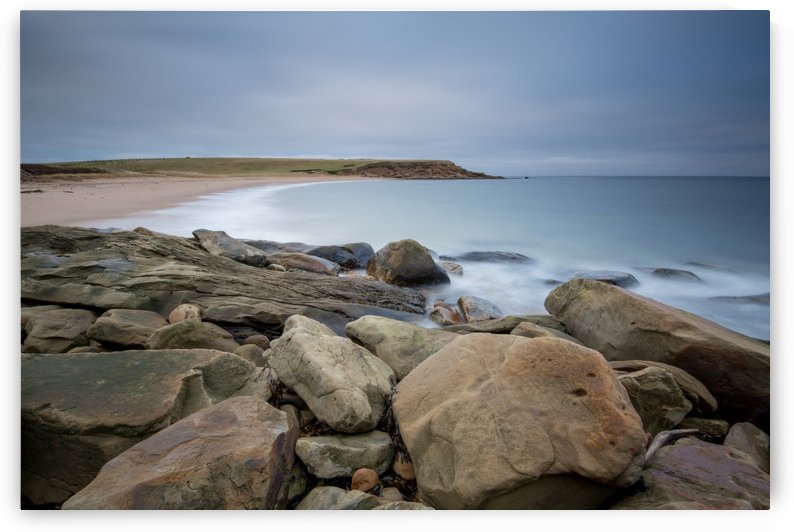 Sands of Whale Cove by Michel Soucy
