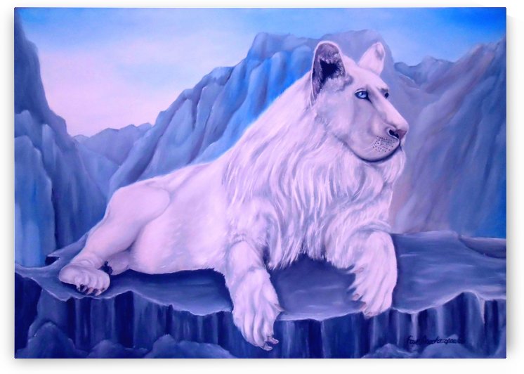 Superiority by Faye Anastasopoulou