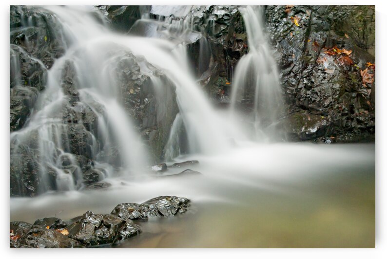  DSC1379 2 by Serv Goyal