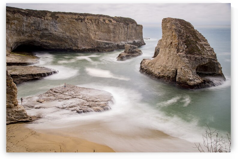 DSC 8111 by Serv Goyal