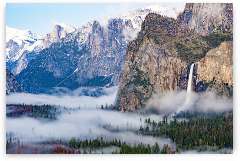 DSC 4209 by Serv Goyal