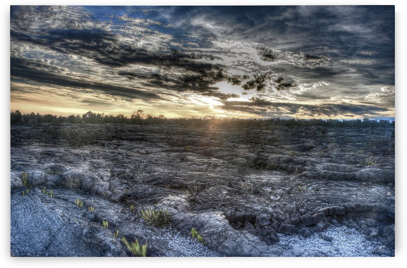  DSC8655 6 7 by Serv Goyal