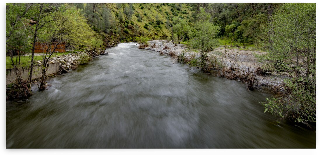 DSC 4047 by Serv Goyal