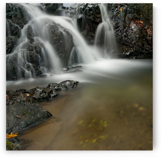  DSC1379 by Serv Goyal