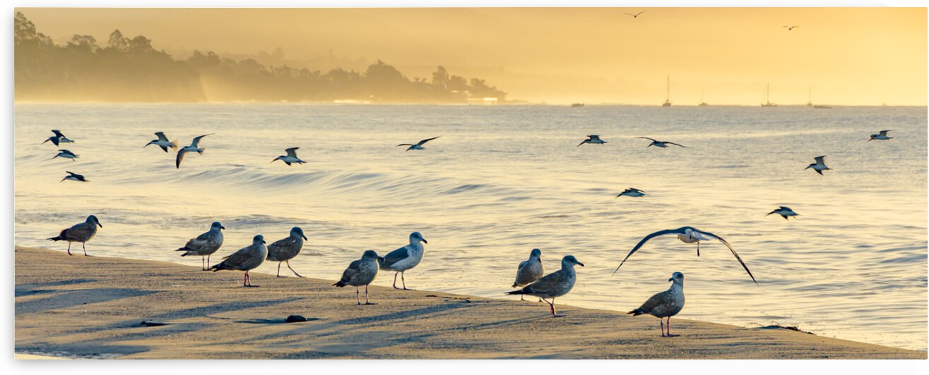  DSC1819 by Serv Goyal