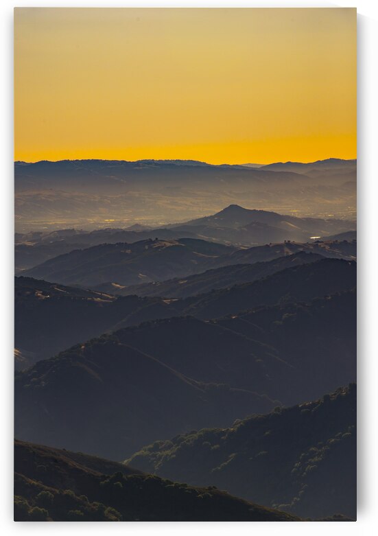 DSC 8950 by Serv Goyal