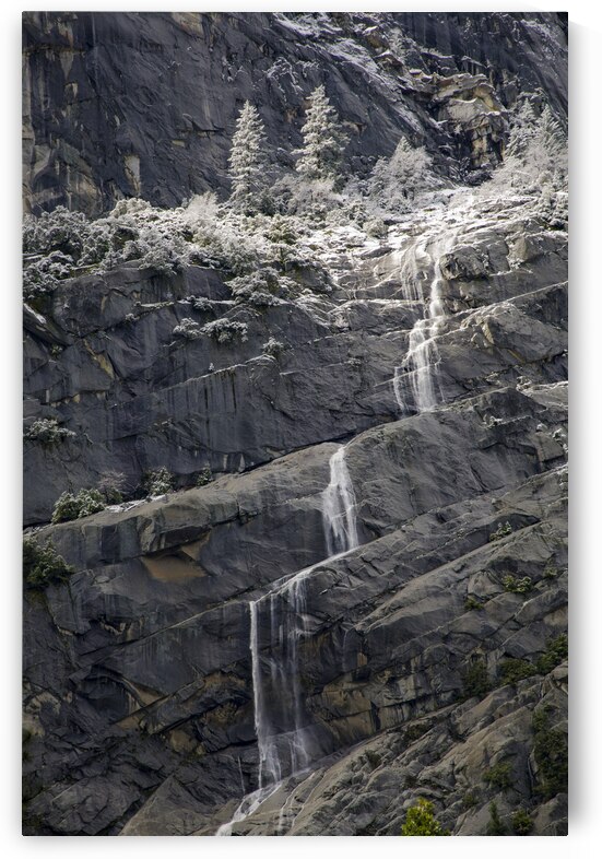  DSC6897 by Serv Goyal