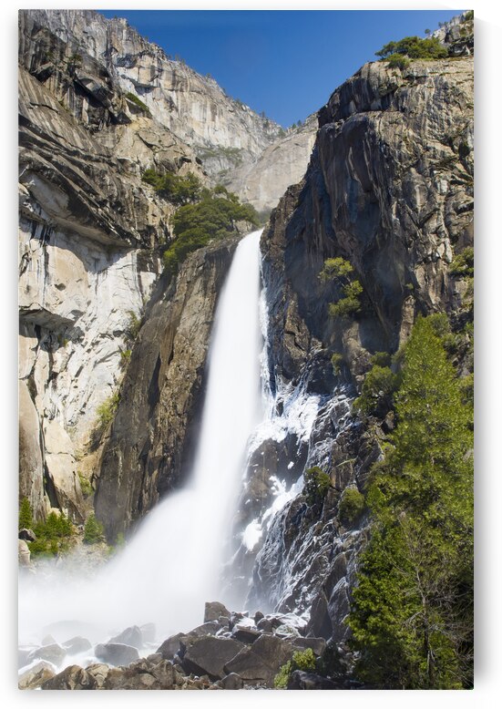 DSC 4248 by Serv Goyal