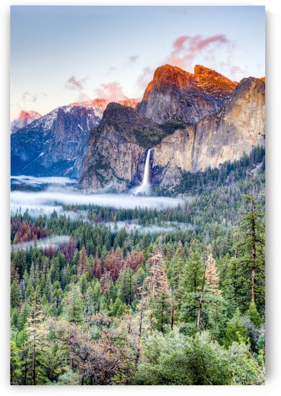 DSC 4202 3 4 5 by Serv Goyal