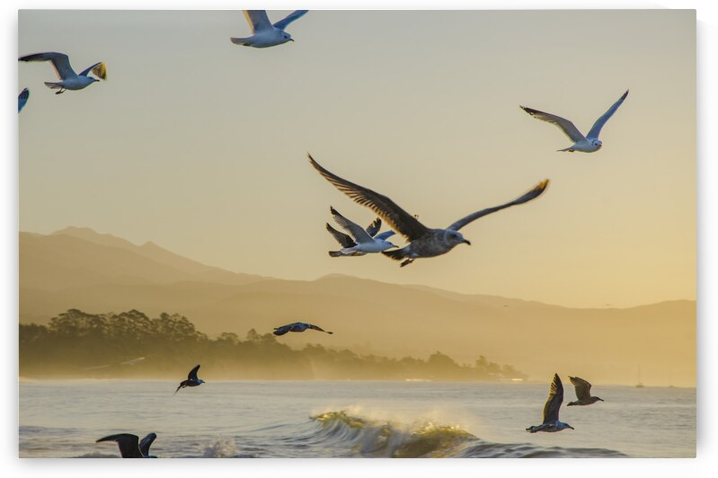  DSC1817 by Serv Goyal