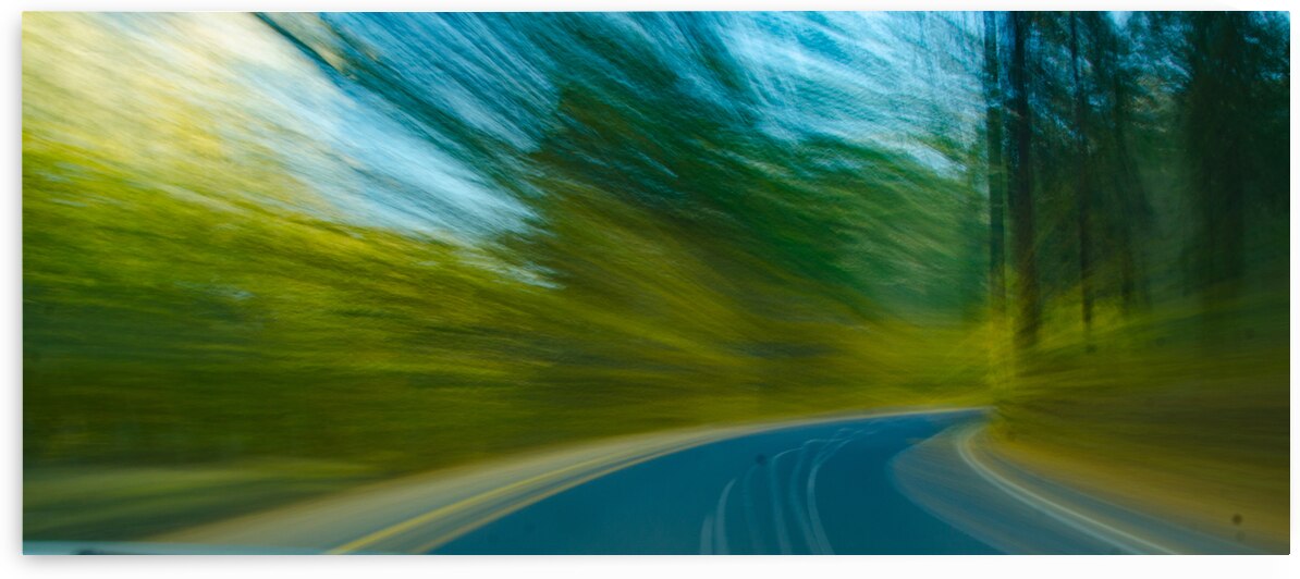  DSC1118 by Serv Goyal