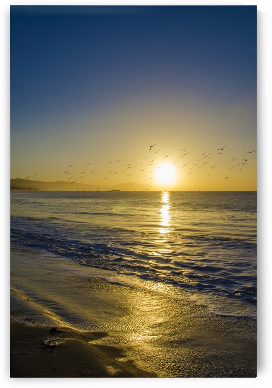  DSC1811 by Serv Goyal