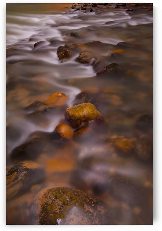  DSC8045 by Serv Goyal