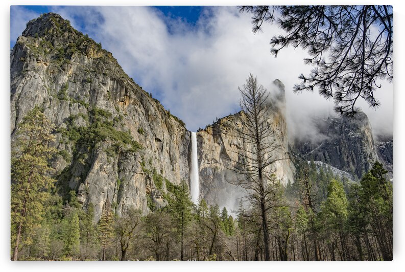 DSC 4132 by Serv Goyal