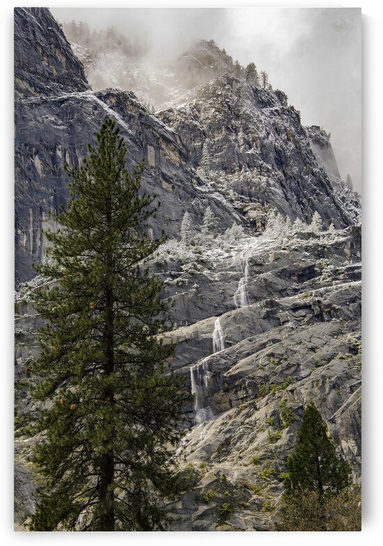  DSC6892 by Serv Goyal