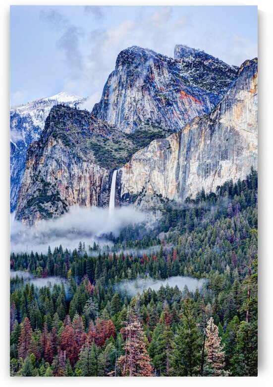 DSC 4207 8 by Serv Goyal