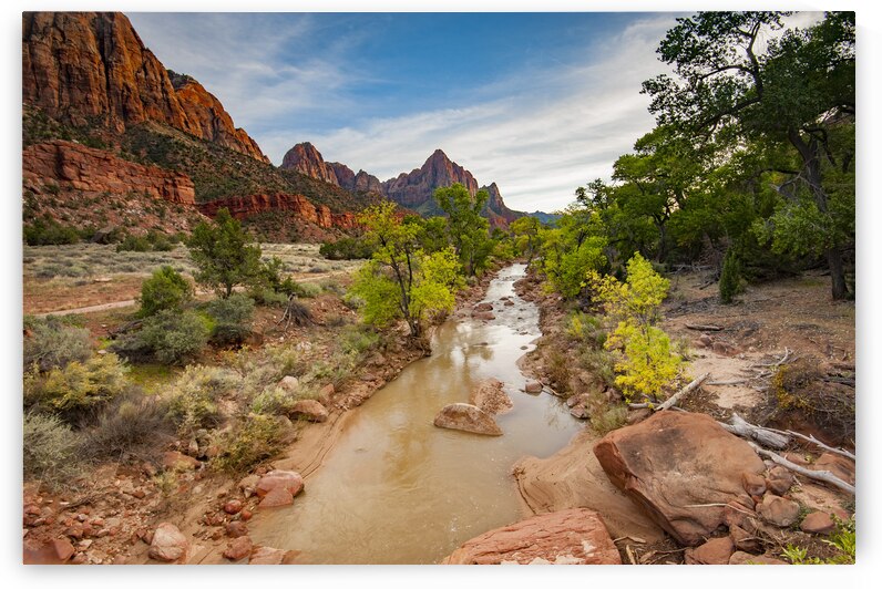  DSC7966 by Serv Goyal