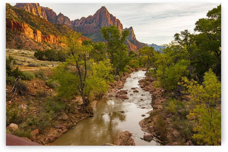  DSC7946 by Serv Goyal