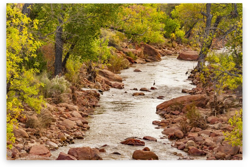  DSC7948 by Serv Goyal