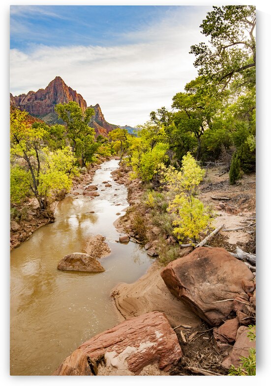  DSC7962 by Serv Goyal