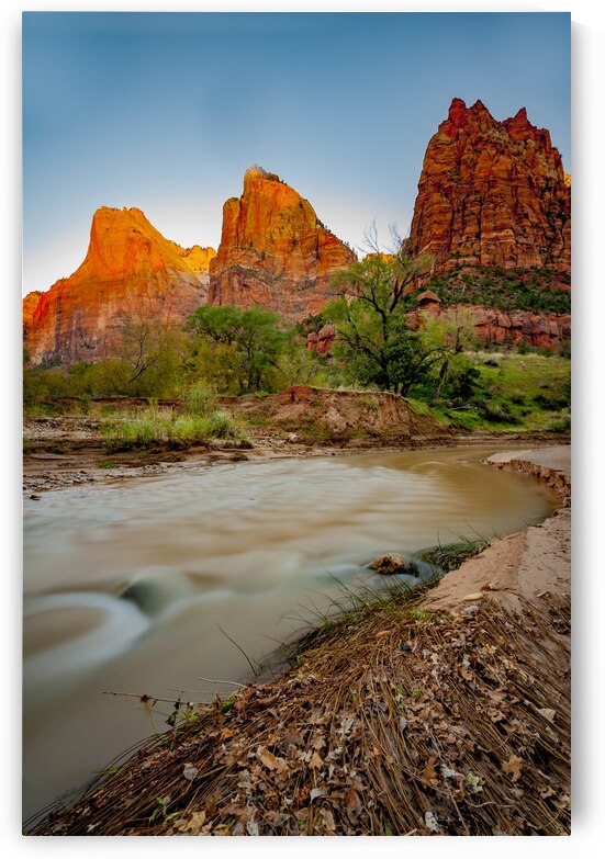  DSC7677 by Serv Goyal