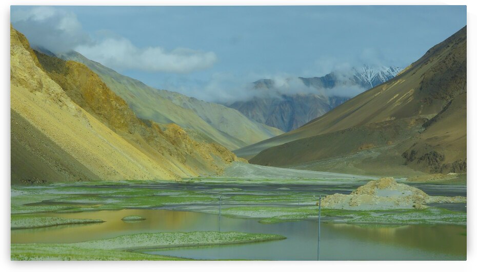 DSC02895 by Serv Goyal