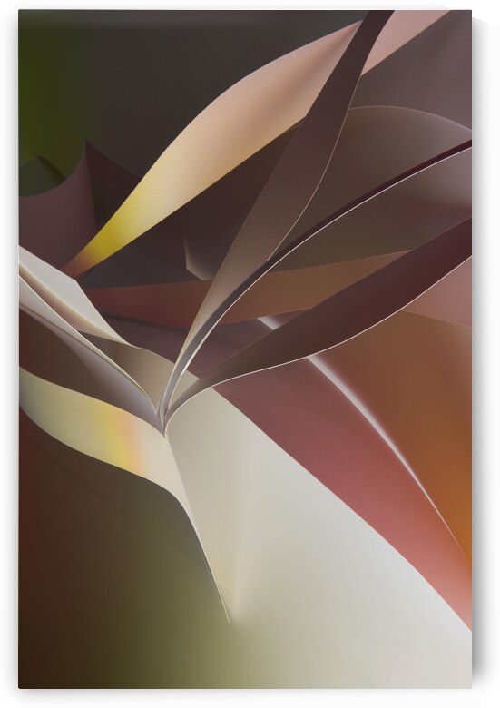 Automn never leaves by carlos caicedo