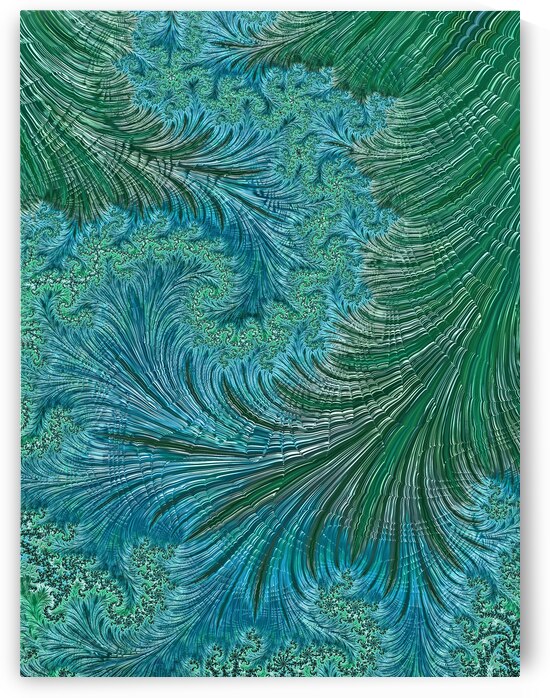 Jewels Of The Sea by HH Photography of Florida